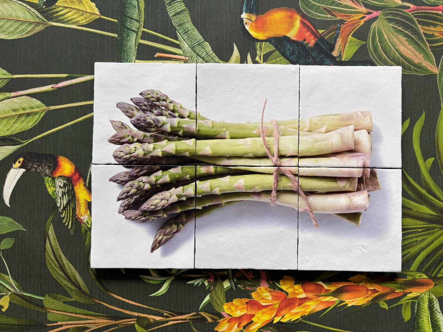 Asperge tegel decoratie zesluik