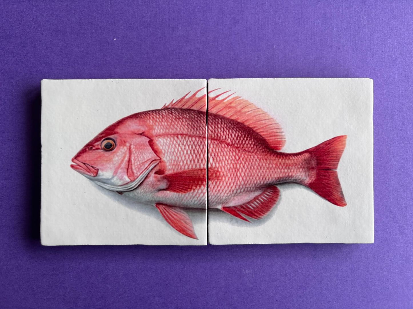 Tegel Tweeluik Red Snapper
