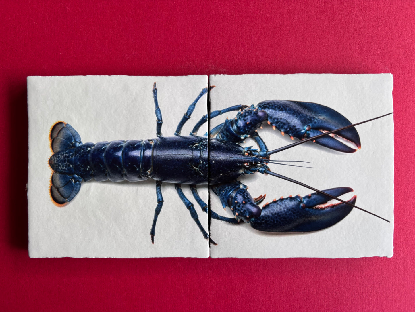 Tegel Tweeluik Oosterschelde Kreeft | Luxe Seafood Wanddecoratie voor in de keuken