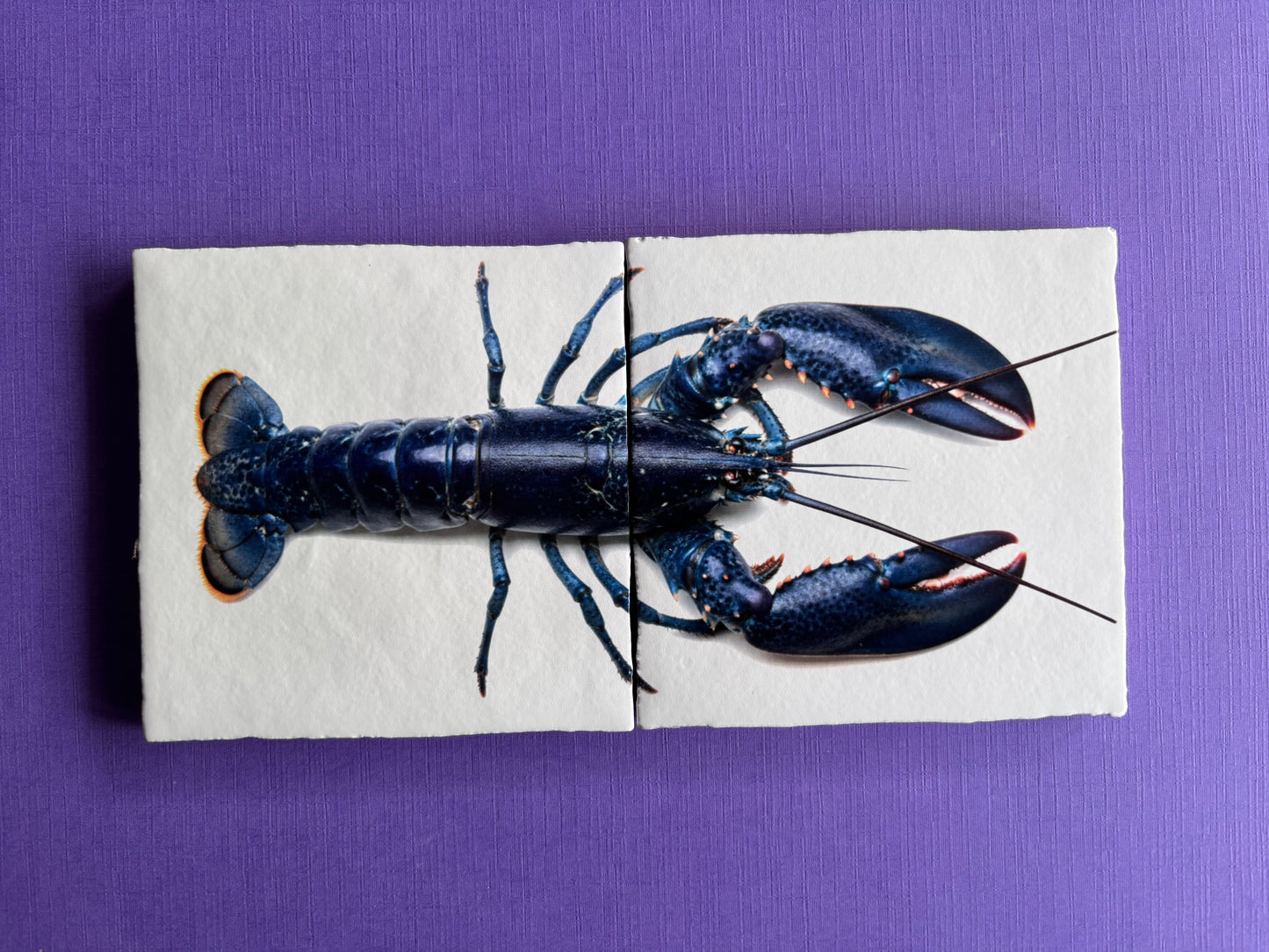 Tegel Tweeluik Oosterschelde Kreeft | Luxe Seafood Wanddecoratie voor in de keuken