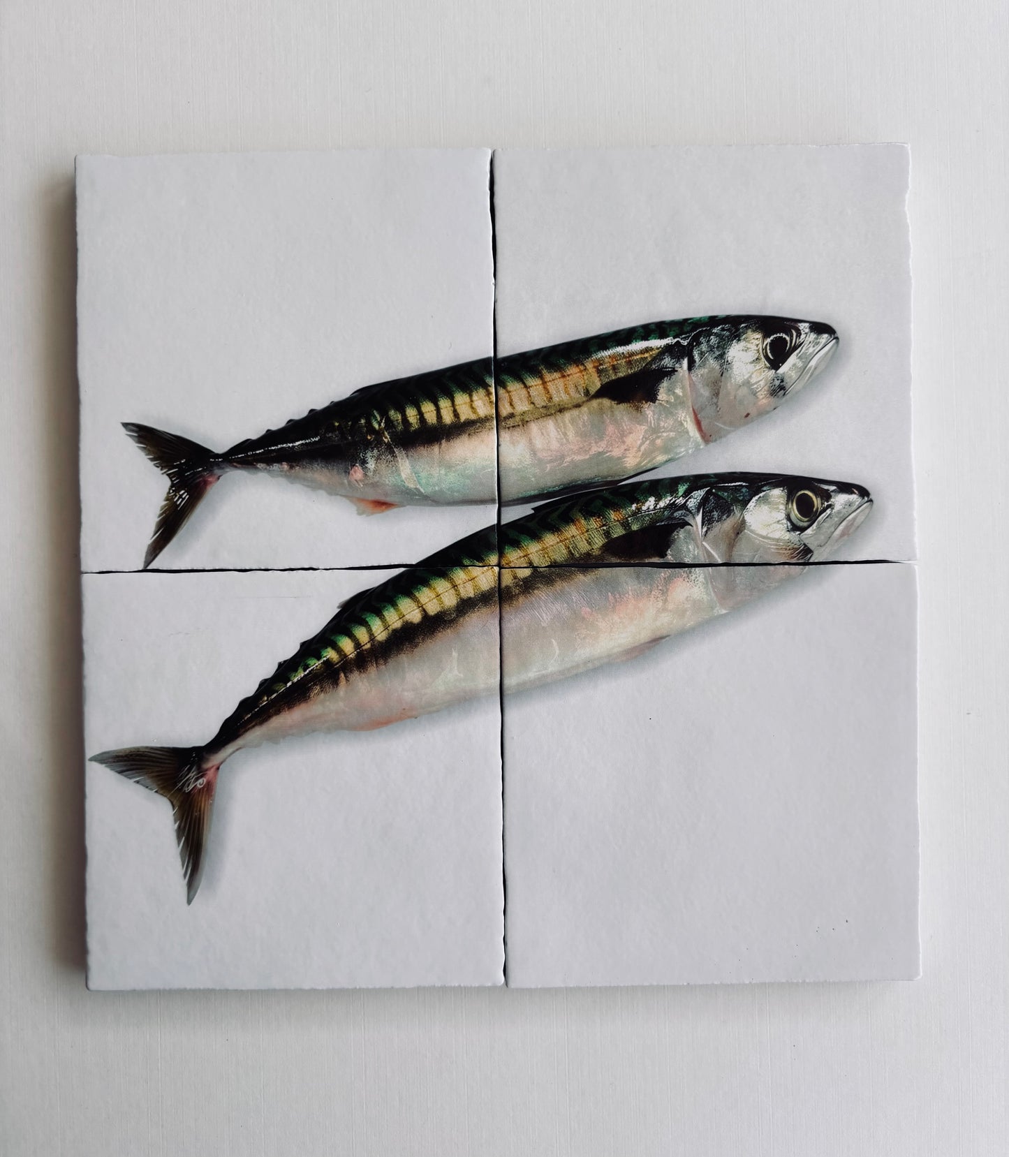 Tegel Vierluik Makreel / Mackerel