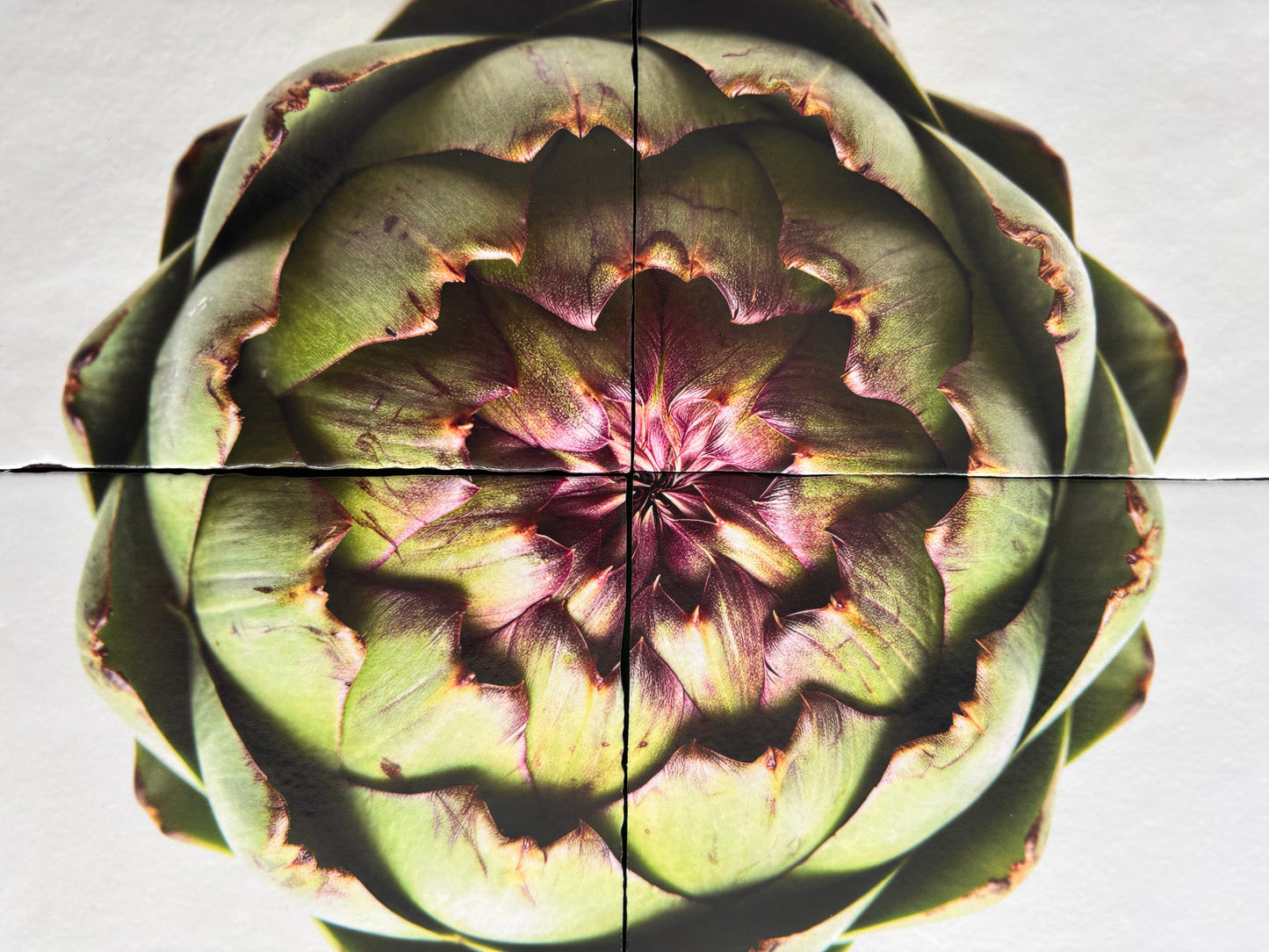 Artisjok Tegel Vierluik | Botanische Keukenkunst
